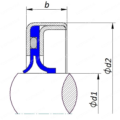 HN 2580 PTFE Rotary Shaft Seal - Cross section