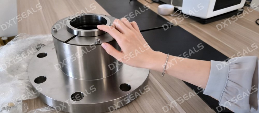 Mechanical Seals vs Oil Seals: What's the Difference and How to Choose the Right Solution? | DXTSEALS