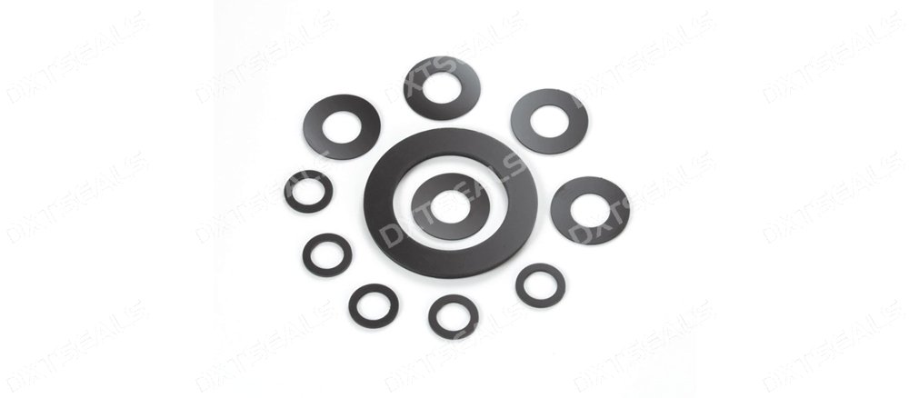 Graphite Seals