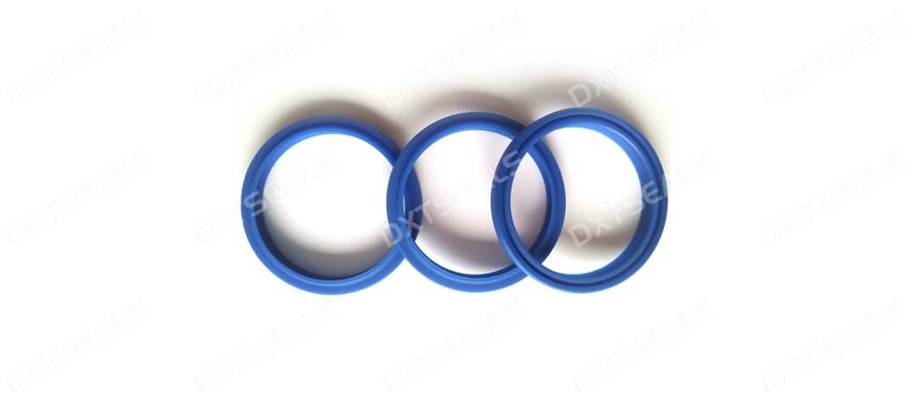 DHS rings