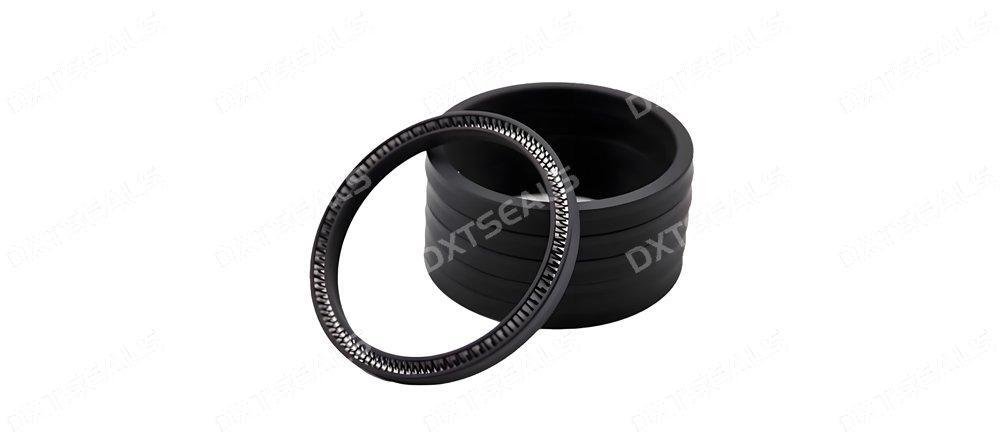 Spring-energized seals