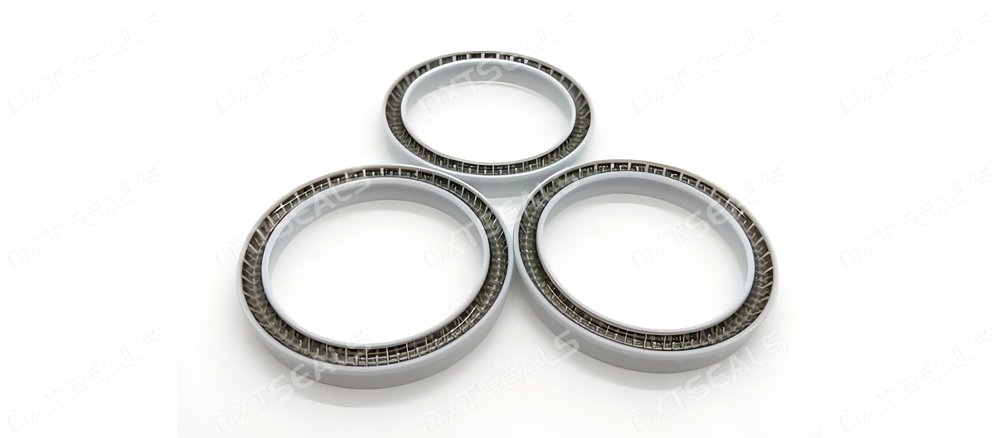 Bore Spring-Energized Seals for Static Sealing | DXTSEALS