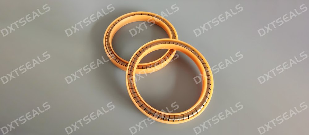 Low-Friction Spring-Energized Seals for Dynamic Sealing | DXTSEALS