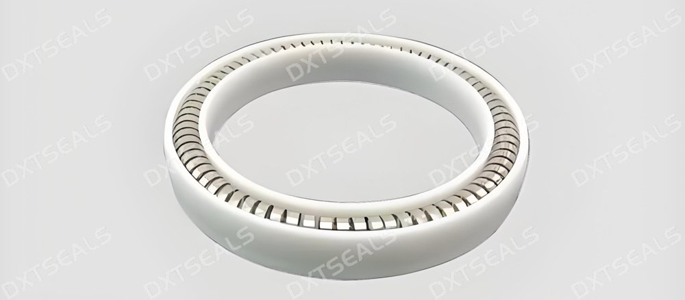 Rotary Spring-Energized vs Conventional Rotary Seals | DXTSEALS