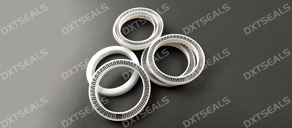 Food-Grade & Medical-Grade Spring-Energized Seals | DXTSEALS