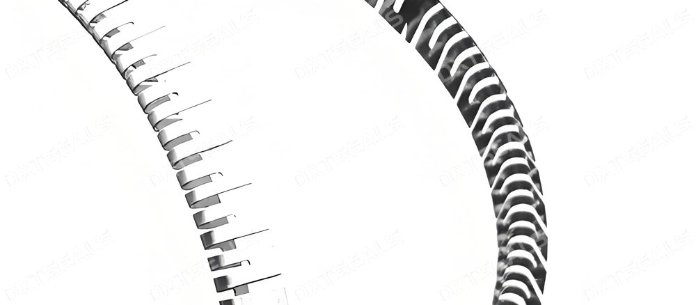 Helical vs Wave Springs in Spring-Energized Seals | DXTSEALS