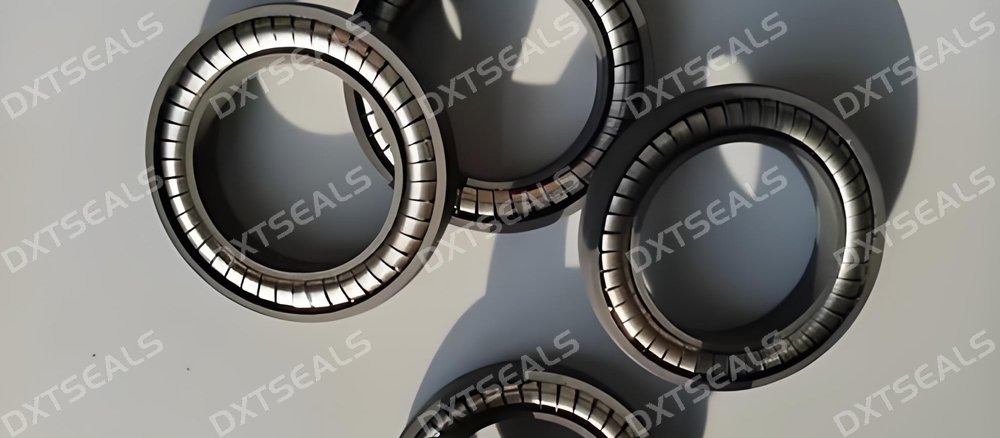 Spring-Energized Seal Selection Guide | DXTSEALS
