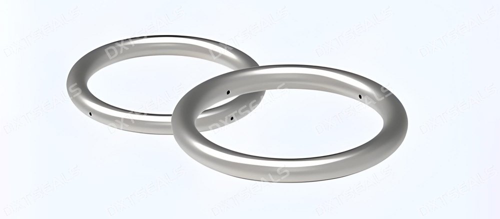 Structural Features and Sealing Performance of Hollow Metal O-Rings | DXTSEALS
