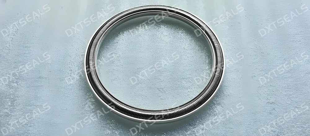 Advantages of Silver-Plated Metal C-Rings for High Temperature & Pressure Applications | DXTSEALS