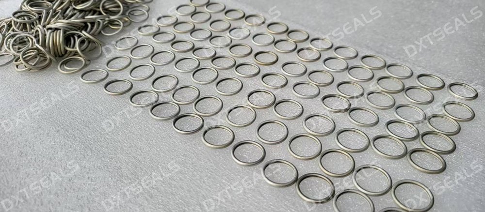 Metal Seal Material Selection: Stainless Steel, Alloy Steel & Coating Technologies | DXTSEALS