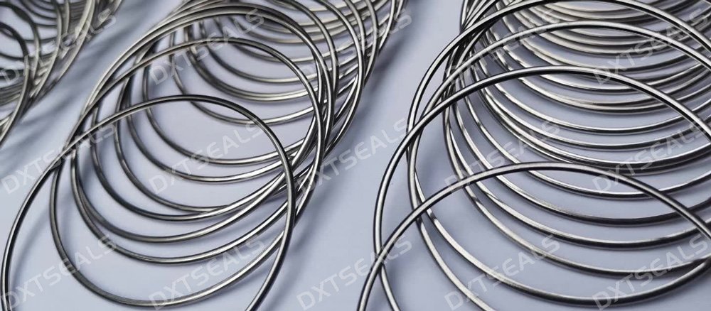 Advantages of Vented Metal O-Rings for High Pressure Sealing | DXTSEALS