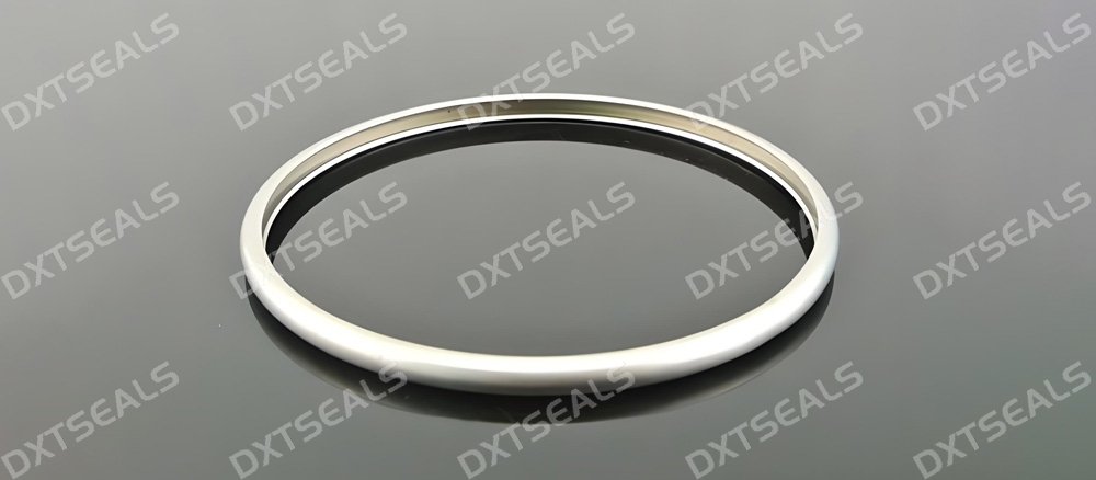 From Design to Application: Key Technical Insights for Metal Seals | DXTSEALS