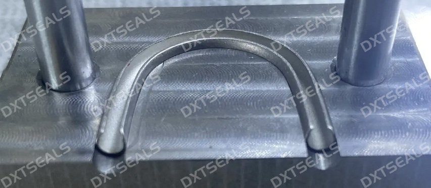 How to Choose the Right Metal Seal Type Based on Working Conditions | DXTSEALS