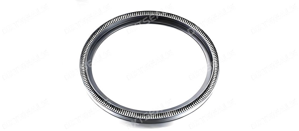 Spring Energized Seal Selection Guide: Temperature, Pressure & Media Analysis | DXTSEALS