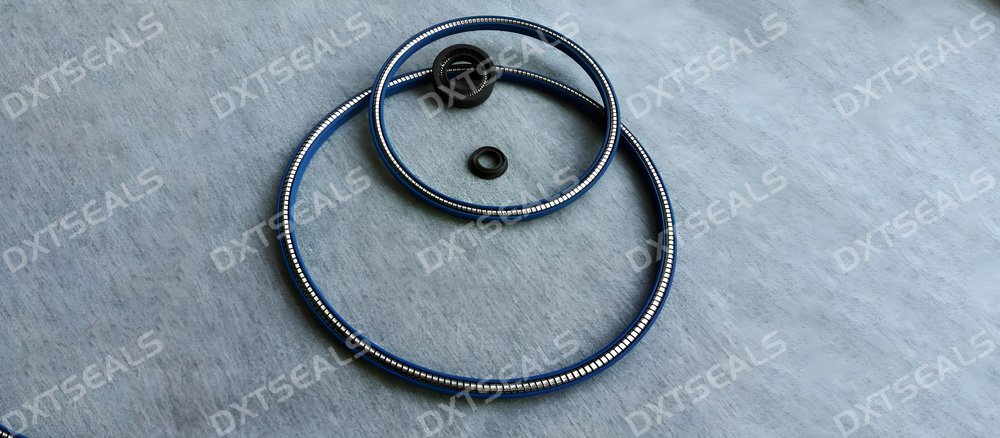 Filled PTFE Materials in Spring Energized Seals: Advantages & Performance Comparison | DXTSEALS
