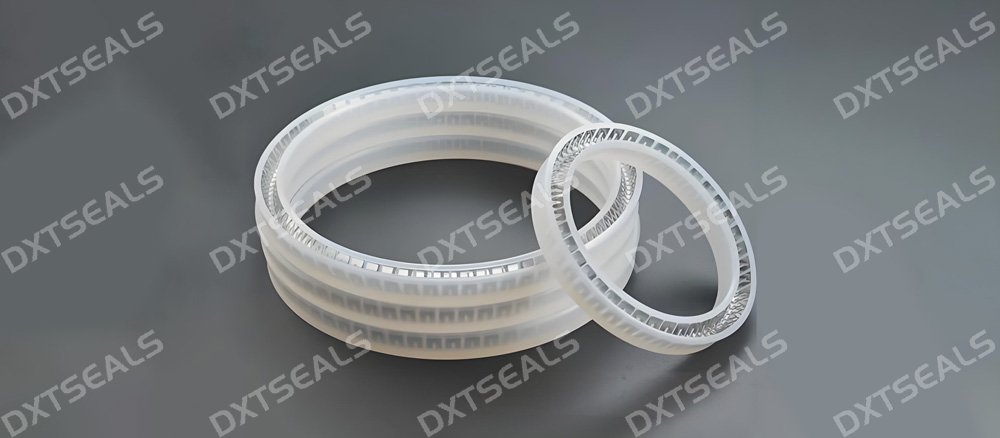 Spring Energized Seal Solutions for High Temperature, High Pressure & Corrosive Environments | DXTSEALS