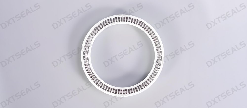 How to Optimize Spring Energized Seal Design to Reduce Friction and Extend Service Life | DXTSEALS