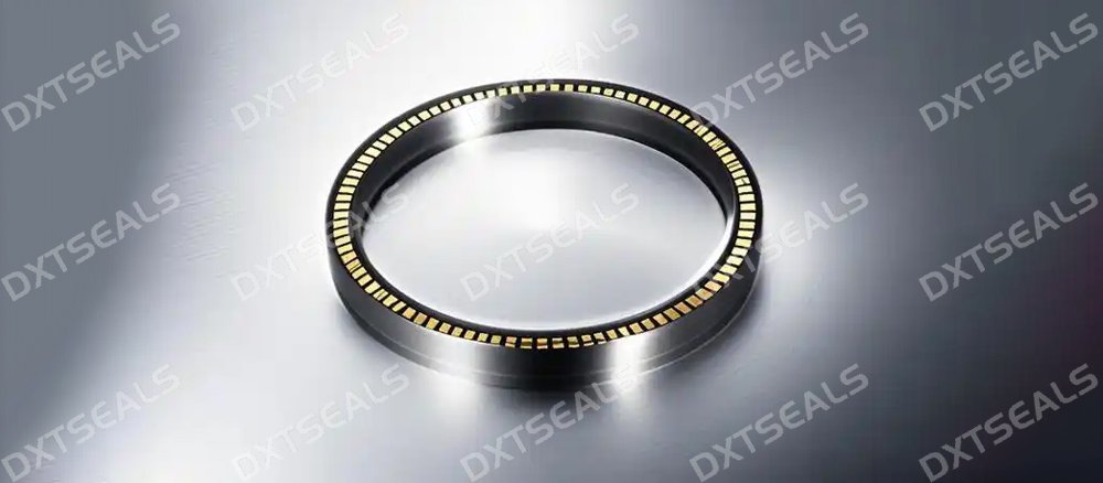 Spring Energized Seal Applications in Semiconductor, Chemical & Food Industries | DXTSEALS