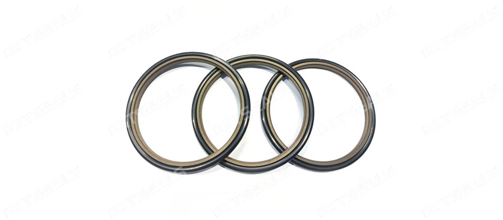 From Spring Energized Seals to Glyd Rings: Understanding Different Standard Seal Designs