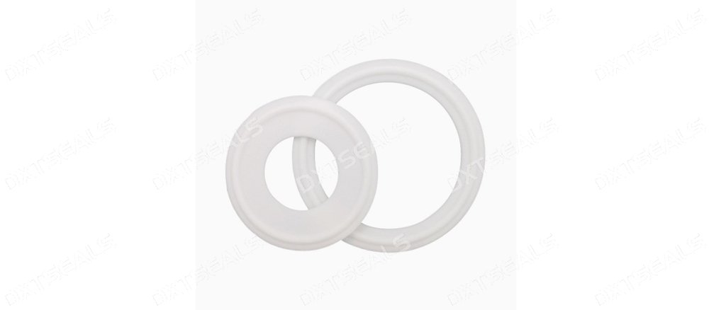 PTFE gasket