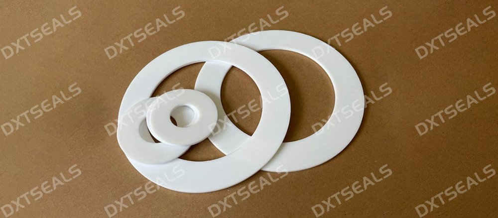 PTFE gasket